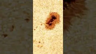 The Radiant Heart: Exploring the Power of the Sun #shorts