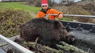 ΚΥΝΗΓΙ ΑΓΡΙΟΧΟΙΡΟΥ WILDBOAR HUNTING DOMUZ AVI caccia cinghiale chasse  sanglier Wildschweinjagd no46