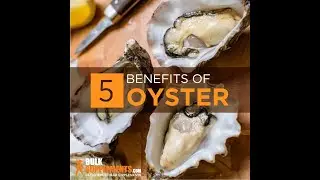 Oyster extract - oyster extract benefits - oyster extract powder - oyster extract supplement
