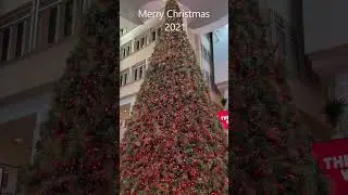 Calgary Shopping Mall / Merry Christmas /Happy New Year