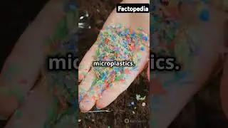Shocking Facts About Plastic Pollution 🌍               #facts #viralshorts #viralshort #shorts