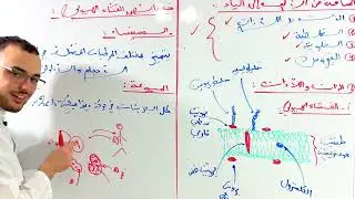 المناعة من الألف إلى الياء (مستحيل ماتفهمش‼️) 