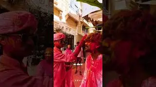 Jaisalmer Holi Celebration 2026 | Best Place to Celebrate Holi in Rajasthan #zostel #shorts #holi