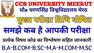 CCS University Main Exam Datesheet Release 2024 |Exam Datesheet Full Analysis With Exam date & Shift