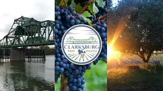 Clarksburg Winery Collective - The bridge to Sacramento&rsquo;s wine country