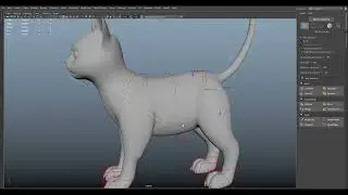 Cat Rigging in Maya