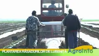 Reportaj la Gottlob
