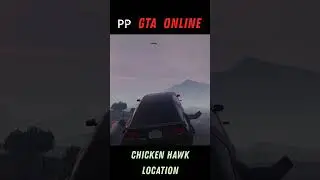 GTA online Chicken Hawk Location - Wildlife Photography