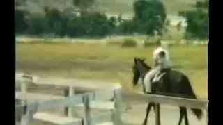 BenbrookStables