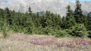 Kackar mountains - Ka&ccedil;kar Dağı - of Turkey, trekking, climbing, people, flora and fauna