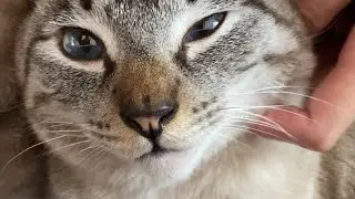 鼻水でてる