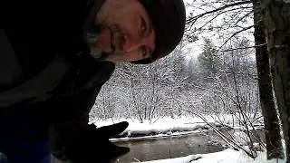 Off Grid Camper in the Woods Food Sources, Preservation and Preparation
