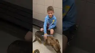 Dad Takes His Son To The Shelter Insisting They Can't Get A Dog | The Dodo