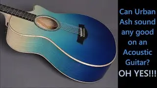 Can Ash sound good on an Acoustic guitar? - Taylor C22ce Custom Urban Ash NAMM 2024 Limited