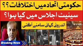 Shehbaz Govt In Trouble | PPP vs PMLN | Senate Session Inside Story | Breaking News