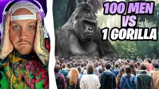 TIMTHETATMAN TALKS ABOUT 100 MEN VS 1 GORRILA