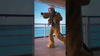 🛟✨15 Seconds on the #DisneyDream - #DisneyCruise #disneycruiseline #disneywish #disneymagicatsea