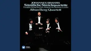 String Quartet No. 2 in A Minor, Op. 51 No. 2: I. Allegro non troppo