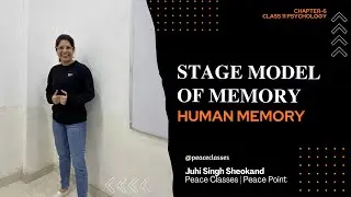 Stage Model of Memory | Information Processing Approach | Class 11 Psychology