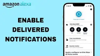 How To Enable Delivered Notifications On Amazon Alexa App