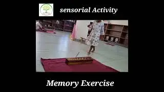Sensorial Activity: Cylinder Block, Memory Exercise.💫 #montessoricurriculum #reels