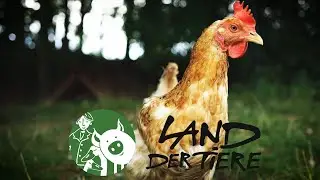 Das Land der Tiere über Tier Rettung und Tierwohl.