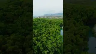 Desde otra perspectiva! #playa  #manabi #mangrove #mangrove_forest #drone