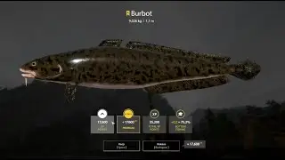 Burbot Trofee Belaya river RF4