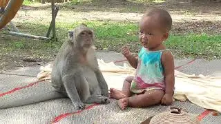 Video sock monkey and baby part#0043