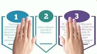 Mecanismos y organismos de protección de derechos humanos en Colombia