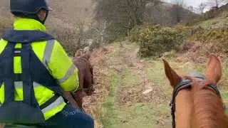 Holiday cottages with stabling in Exmoor