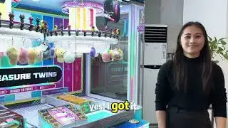 2026 New arcade redemption game - Treasure Twins