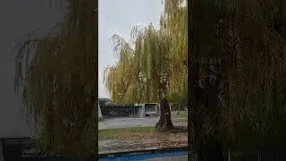Gyumri #Armenia #Gyumri #November #2025 #autumn  #tourism #rain #relax