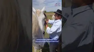 Do You Understand Your Horse&rsquo;s Behavior? | Equine Care