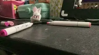 How to make a Paper Towel Bunny