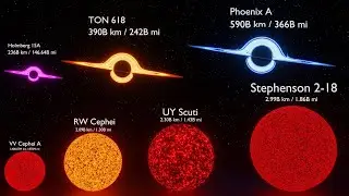 Universe Stars & Black Hole Size Comparison!