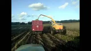 Majs-ensilering 9 okt.. 2008