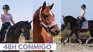 Primera aventura ⚔️con Kasper👻+Thunder⚡️ + cl&iacute;nic con Missy Fu 🦋y Lucia Gallardo, menudos ponis 🥹
