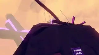 The 
