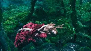 Tale of Tales (2015) Film Explained in Hindi/Urdu | Fantasy Horror Tale of Tales Summarized हिन्दी 