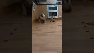 Pablo wouldn't cheat against his 3 months old Nephew... Would he?? 🤔