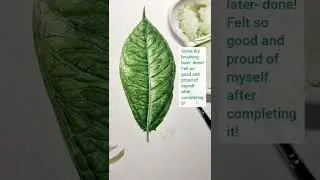 Detailed Leaf Process in Layers