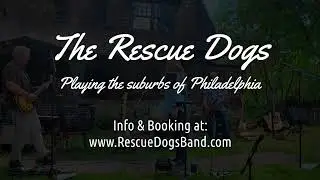 Rescue Dogs Promo Video
