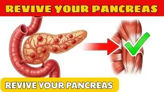 How to Care for Your Pancreas Before It&rsquo;s Too Late &ndash; Digestive Health for Seniors