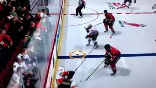 NHL 13 hit