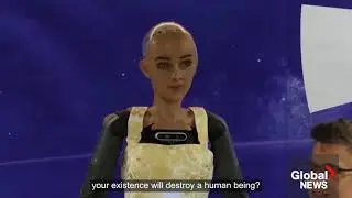 Globaal News - Robots answer questions at AI press conference