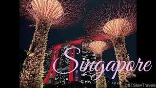 We Loved Singapore