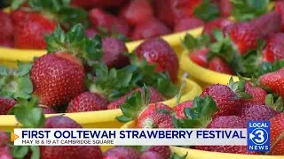 First Ooltewah Strawberry Festival to be held May 18 and 19