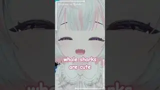 Cat? 🚫 SHARK ☑️  #vtuber