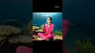 сон при температуре 40😂 WW114857 wb💌1724733864 ozon 💍 #рекомендации #пудра #ии